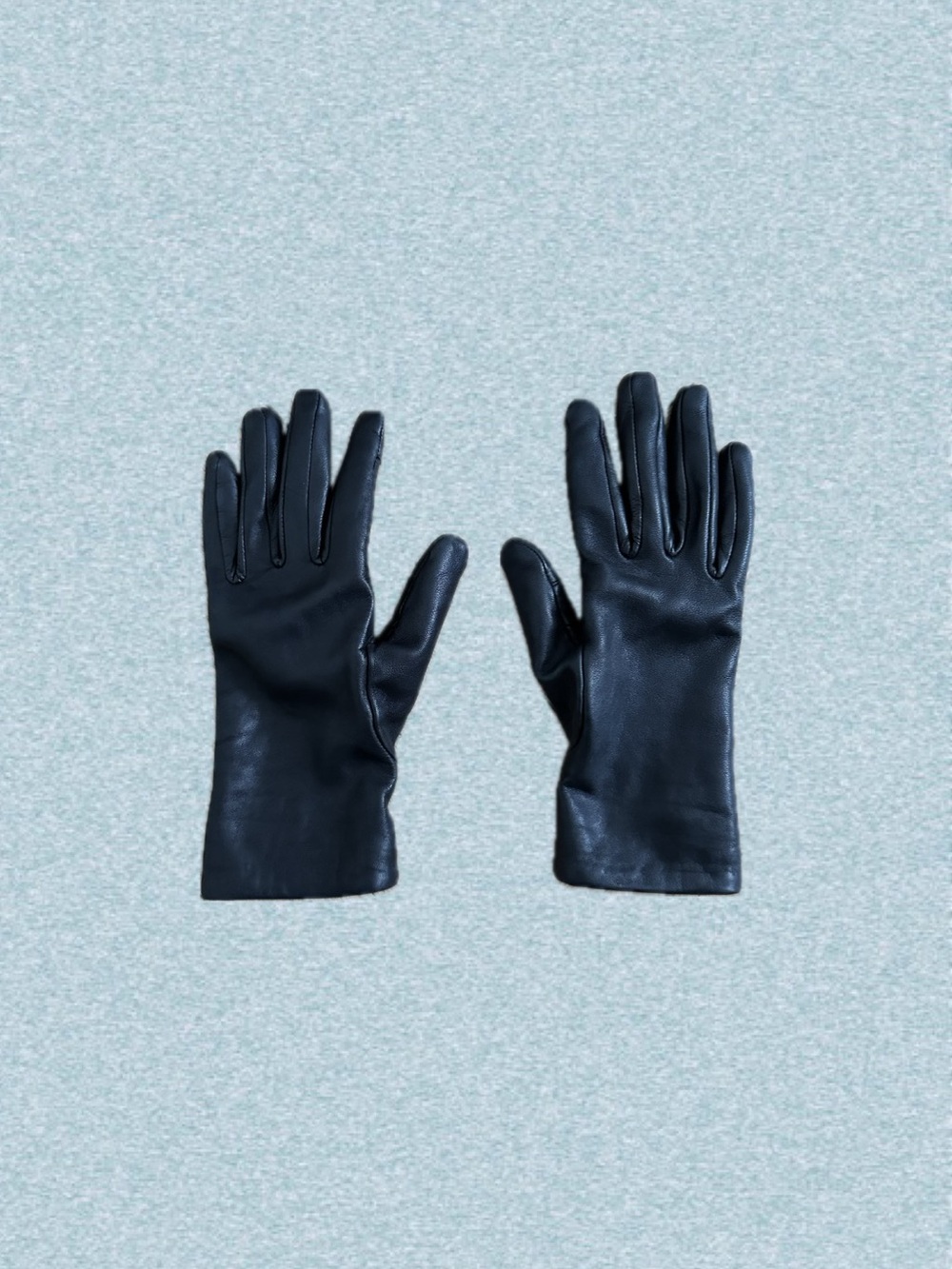 Quince Cashmere Lined Leather Gloves